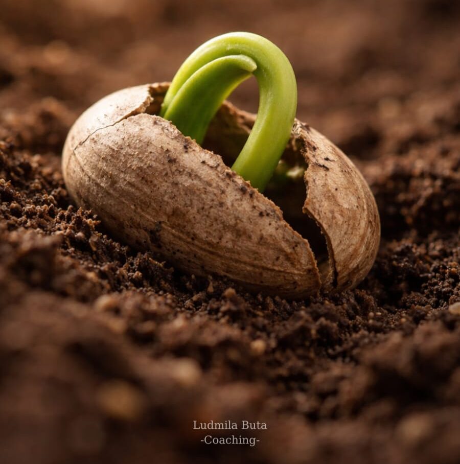 dezvoltare personala